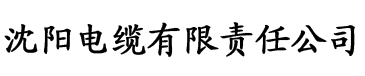 国产乱码精品一区二区三区中文电缆厂logo